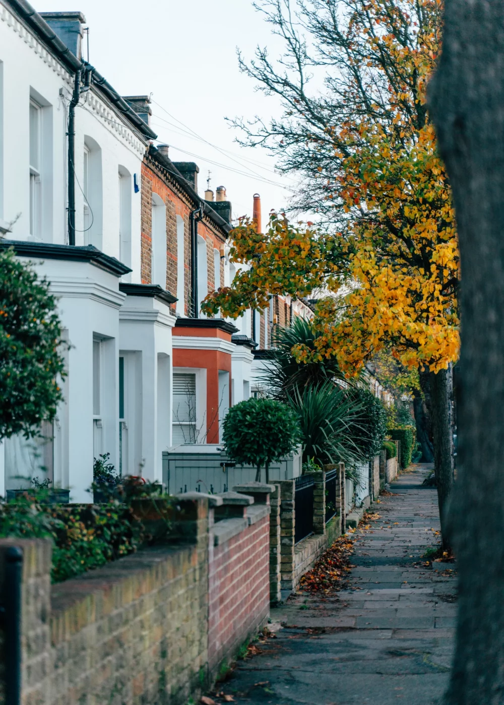 colorful-autumn-leaves-line-a-charming-street-in-a-2025-02-10-09-50-41-utc colorful-autumn-leaves-line-a-charming-street-in-a-2025-02-10-09-50-41-utc